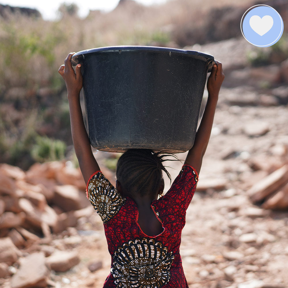 Provide Life-Saving Water to People & Wildlife in South Africa