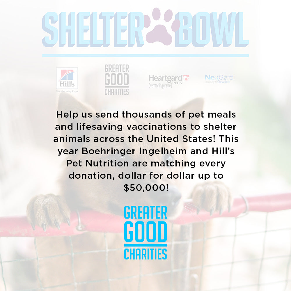 Shelter Bowl 2023: Feed Shelter Animals