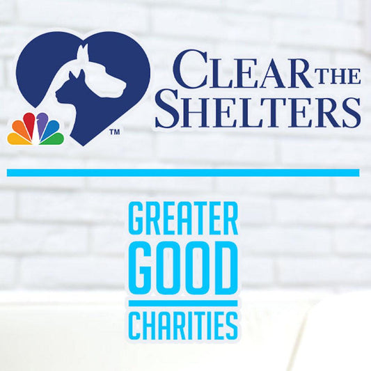 Houndhaven, Inc. in Minneola, FL | Clear The Shelters image