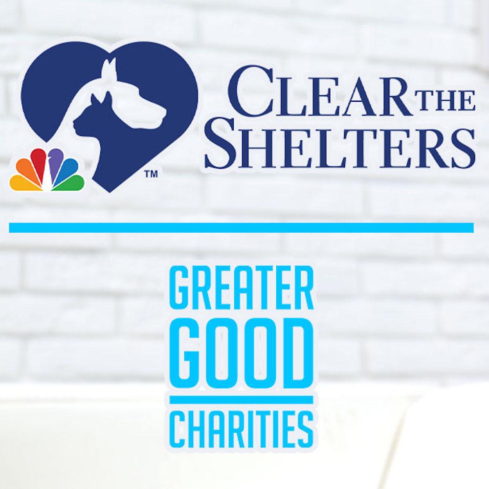 Noah's Ark Animal Shelter in Gainesville, TX | Clear The Shelters image