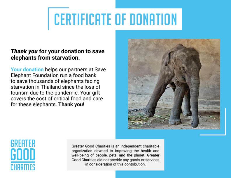 Save Elephants from Starvation