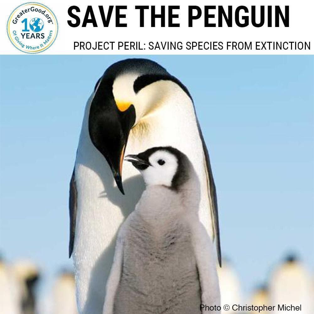 Donation - Project Peril: Help Save The Penguin