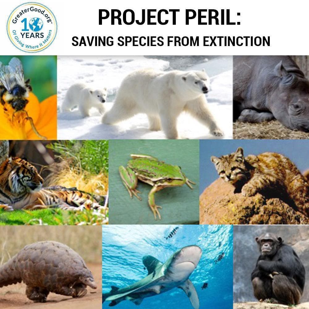 Donation - Project Peril: Protecting Species On The Brink Of Extinction